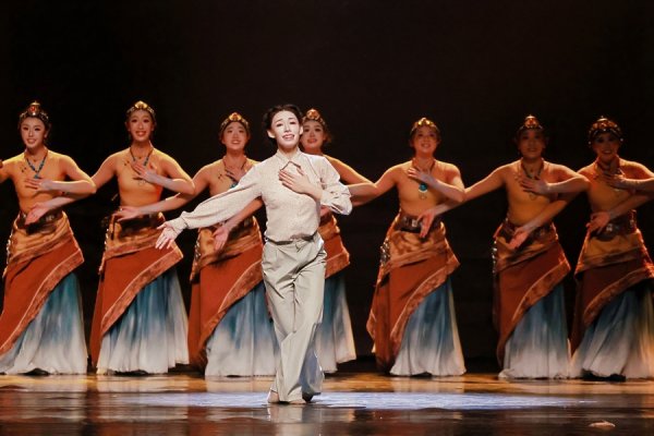 奋进在中国式现代化道路上｜凝聚协作合力，为现代化新果洛注入更强动能