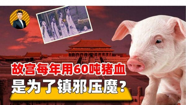故宫一年用60吨猪血“镇邪”？这真不是玄学，以前农村经常用此方法