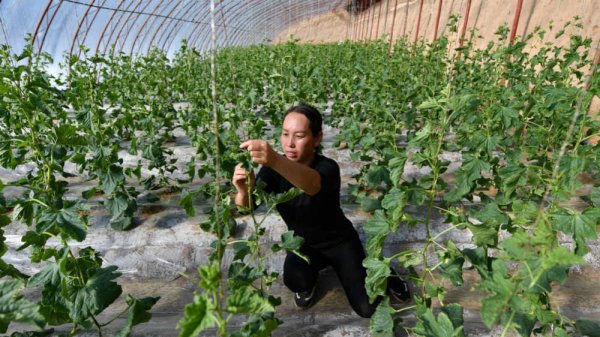 广西壮族自治区政协港澳台侨和外事委员会分党组书记秦春成接受纪律审查和监察调查