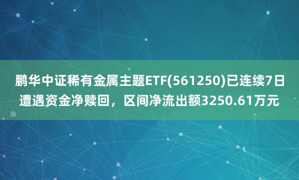 鹏华中证稀有金属主题ETF(561250)已连续7日遭遇资金净赎回，区间净流出额3250.61万元