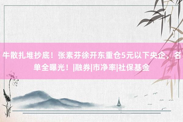 牛散扎堆抄底！张素芬徐开东重仓5元以下央企，名单全曝光！|融券|市净率|社保基金