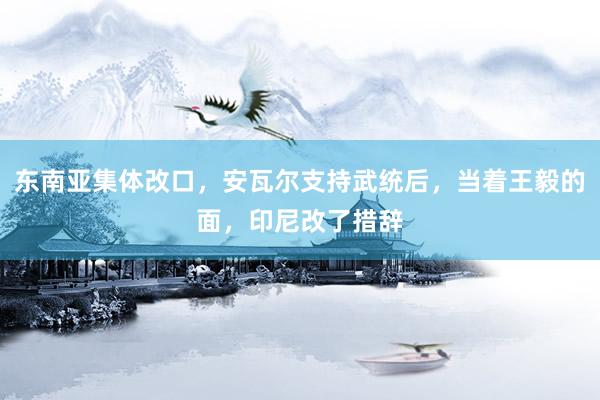 东南亚集体改口，安瓦尔支持武统后，当着王毅的面，印尼改了措辞