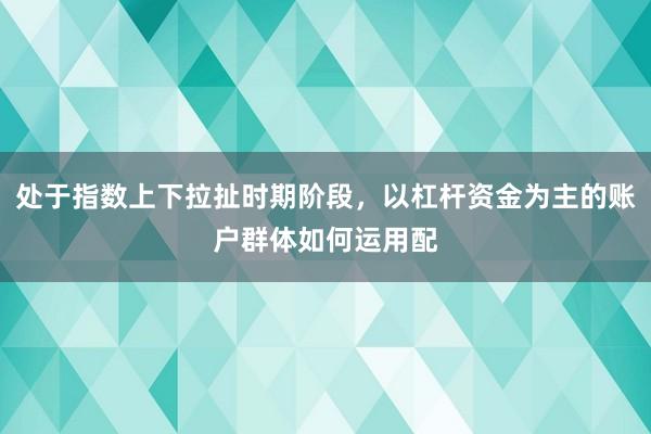 处于指数上下拉扯时期阶段,以杠杆资金为主的账户群体如何运用配