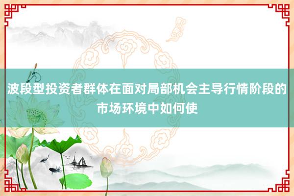 波段型投资者群体在面对局部机会主导行情阶段的市场环境中如何使