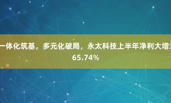 一体化筑基，多元化破局，永太科技上半年净利大增365.74%