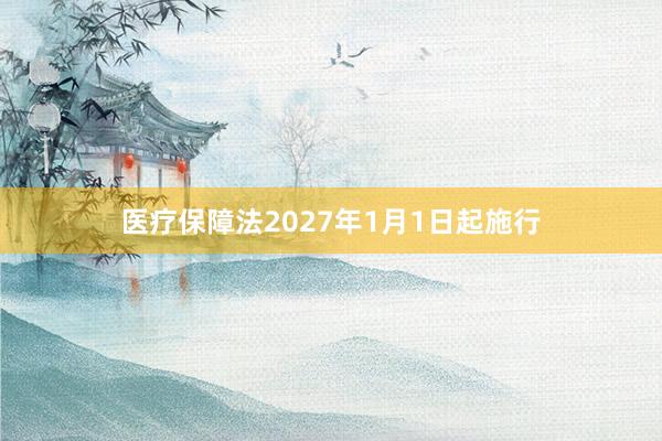 医疗保障法2027年1月1日起施行