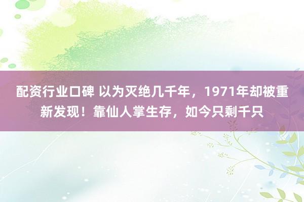 配资行业口碑 以为灭绝几千年，1971年却被重新发现！靠仙人掌生存，如今只剩千只