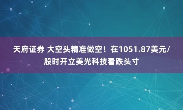 天府证券 大空头精准做空！在1051.87美元/股时开立美光科技看跌头寸