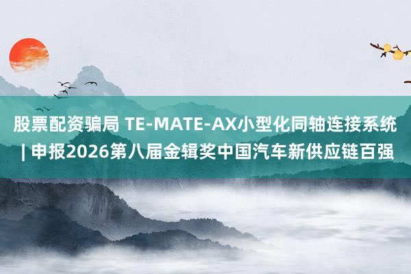 股票配资骗局 TE-MATE-AX小型化同轴连接系统 | 申报2026第八届金辑奖中国汽车新供应链百强