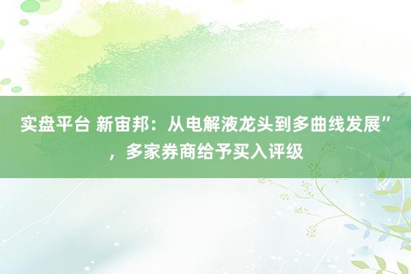实盘平台 新宙邦：从电解液龙头到多曲线发展”，多家券商给予买入评级