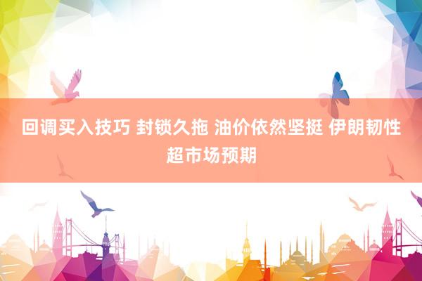 回调买入技巧 封锁久拖 油价依然坚挺 伊朗韧性超市场预期