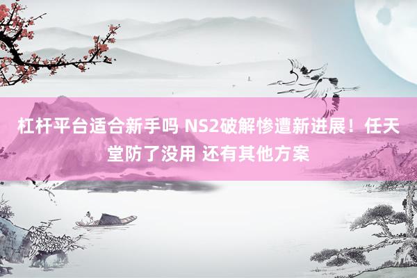 杠杆平台适合新手吗 NS2破解惨遭新进展！任天堂防了没用 还有其他方案