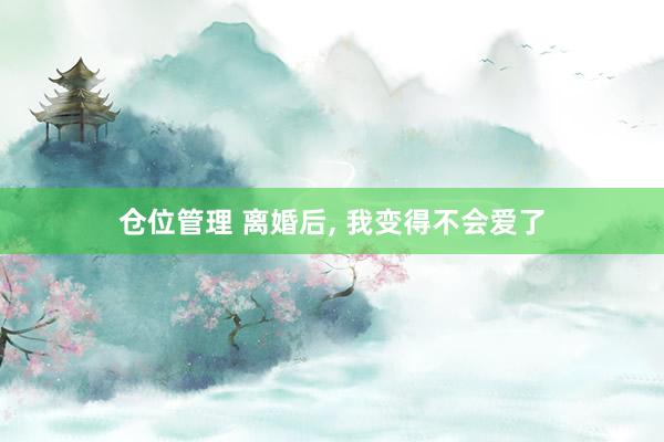 仓位管理 离婚后, 我变得不会爱了